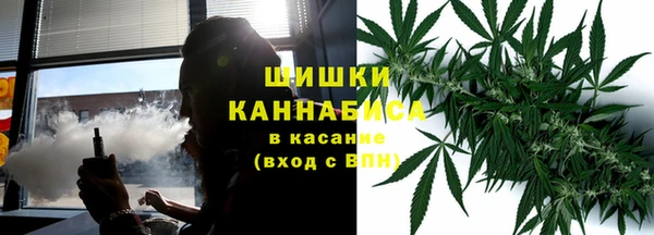 MESCALINE Осинники